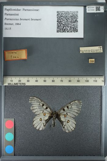 Media type: image;   Entomology 174584